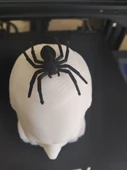 Byr3D Kara Ev Örümceği Siyah 3147004 (5 Adet) Sadece Plastik Aparattır - 3