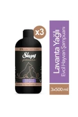 Sleepy Petcare Evcil Hayvan Şampuanı Lavanta Yağlı 500 ml x 3 thumbnail 1