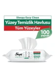 Easy Clean 100 Lü Yüzey Temizlik Havlusu 2 Adet thumbnail 2