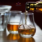 Perlotus 4’lü Paslanmaz Çelik Viski Taşı Sulandırmadan Soğutma Buz Küpleri - 5