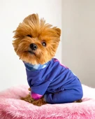 Monogram Purp Köpek Tulum Pijama - 4