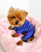 Monogram Purp Köpek Tulum Pijama - 7