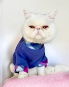 Monogram Purp Polar Kedi Tulum Pijama thumbnail 5