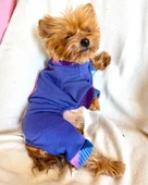 Monogram Purp Köpek Tulum Pijama - 1