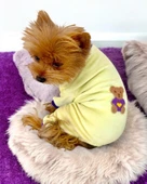 Sunny Teddy Köpek Tulum Pijama - 1