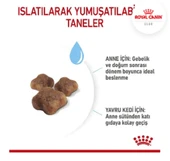 Royal Canin Mother And Babycat 2 kg - 4