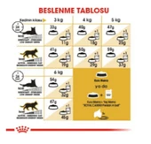 Royal Canin Persian İran Kedileri İçin Yetişkin Kuru Kedi Maması 2 kg - 4