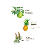 Eyüp Sabri Tuncer Okyanus Kolonyası Yedek Şişe 1 lt thumbnail 2