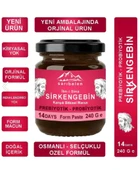 sarıbelen Sirkengebin Bağırsak Çalıştırıcı Ibn-i Sina Probiyotik Form Macun 240 GR - 1