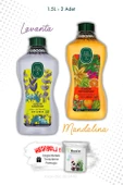 Sıvı Sabun Alaçatı Lavantası ve Bodrum Mandalinası 1.5L ve ROSIE thumbnail 1