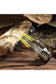 Ucuz Geldi Rustik Led Ampul 4w E27 Duy Şeffaf Cam Dim Edilebilir 3200k Gün Işığı 10 Adet Lambam A60 Led Ampul thumbnail 2