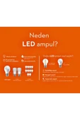 Ucuz Geldi Rustik Led Ampul 4w E27 Duy Şeffaf Cam Dim Edilebilir 3200k Gün Işığı 10 Adet Lambam A60 Led Ampul thumbnail 7
