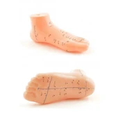 Nordmende Ayak Akupunktur bölgesi Maketi - 1