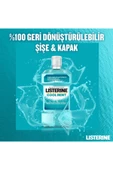 LİSTERİNE 500 ml Cool Mint - 5