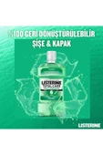 LİSTERİNE Diş Ve Diş Eti Koruması Hafif Tat 250 Ml - 8