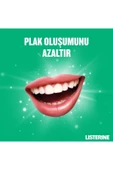 LİSTERİNE Diş Ve Diş Eti Koruması Hafif Tat 250 Ml - 6