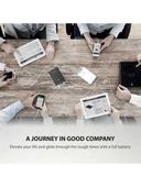 Ravpower 16750mAh Powerbank Çift iSmart 2.0 USB Bağlantısı RP-BP19 - 3