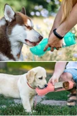 MERGEN STORE Taşınabilir Hazneli Mama Kaplı ,Kaka Poşetli Kedi,Köpek Suluğu-300ml - 7