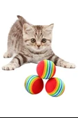 MERGEN STORE 3lü Gökkuşağı Sünger Kedi Köpek Çiğneme Oyun Topu 4,2 cm - 7
