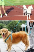 MERGEN STORE Reflektörlü Fosforlu Köpek Gezdirme Halatı Tasma Kayışı Metal Kancalı 130 cm - 7