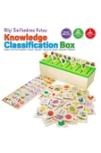 Ahşap Bilgi Sınıflandırma Kutusu Knowledge Classification Box - 4