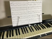 Hsyn M-Audio Keystation Için Proel Müzik Standı T4302791 Akdenizpos Yeni - 4