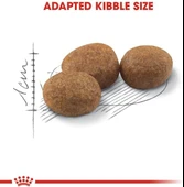 Royal Canin Kısırlaştırılmış Kediler İçin, 37 Kuru Kedi Maması, 2 Kg - 2