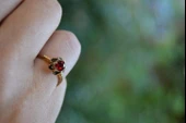 JEWELLERY Yakut Ayarlanabilir Kadın Yüzük - 5