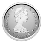 AgaKulche Maple Leaf Set 2025 Gümüş Sikke Coin - 11