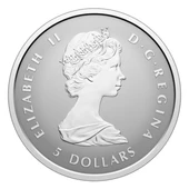 AgaKulche Maple Leaf Set 2025 Gümüş Sikke Coin - 2