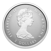 AgaKulche Maple Leaf Set 2025 Gümüş Sikke Coin - 7