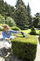 Bosch ISIO III Akülü Çim ve Topiari Makası - 4