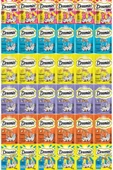 Dreamies Kedi Ödül Maması Karışık Paket 60 gr X36 Adet - 1