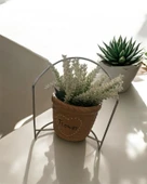 Dekoratif Standlı Beyaz Lavanta Yapay Çiçek – Şık ve Doğal Tasarım thumbnail 3