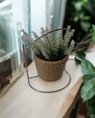 Dekoratif Standlı Beyaz Lavanta Yapay Çiçek – Şık ve Doğal Tasarım thumbnail 4