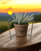 Dekoratif Standlı Beyaz Lavanta Yapay Çiçek – Şık ve Doğal Tasarım thumbnail 1