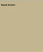 Marshall Maximum Mat Silikonlu Başak Esintisi 2,5 Lt. (3,5 Kg) thumbnail 2