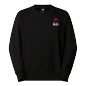The North Face U MNT ANNIVERSARY  RELAXED CREW Swetşört NF0A8DN6JK31 thumbnail 1