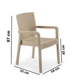 Omnipazar SY-2527 Royale Hasır Desenli Rattan Bahçe Koltuk Sandalye 4'lü Set - 6