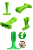 BUFFER® Köpek Diş Temizleyici ve Kaşıyıcı Sağlıklı Küçük Boy Oyuncak - 3
