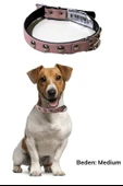 BUFFER® Yumuşak Dokulu Deri Köpek Gezdirme Boyun Tasması Medium - 3