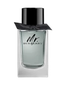 Burberry Mr. Burberry Erkek Parfüm EDT 100 ML - 1