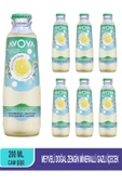 AVOYA Meyveli Doğal Zengin Mineralli Gazlı İçecek Limon ve Limon Çiçeği 200 ML x 6 thumbnail 1