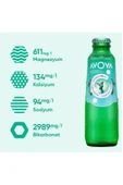 AVOYA Maden Suyu 200 ml x 12 Adet - 2