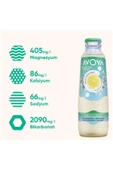 AVOYA Meyveli Doğal Zengin Mineralli Gazlı İçecek Limon ve Limon Çiçeği 200 ML x 6 thumbnail 2