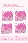 AVOYA Blend Hibiskus Maden Suyu 250 ml x 24 Adet - 1
