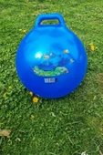 Zıp Zıp Kanguru Zıplama Plates Topu Çocuk Plates Topu 100 Cm Çap 40 Cm Yüksek - 1