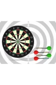 Çift Taraflı Dart Pano ve 4 Adet Dart Oku Oyun Seti 28.5 cm - 1