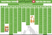 2025 Kişiye Özel Sosyal Medya Takvimi - Özel Günlerle Dolu Eğlenceli Duvar Afişi Kedi - 1