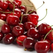 Seneye Meyve Verebilir Durumda  Yarı Bodur Kütahya Vişne Fidanı thumbnail 1